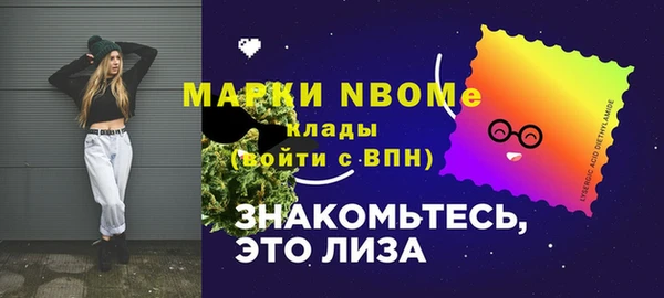 шишки Аркадак
