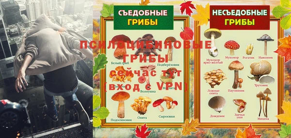 эйфоретик Арсеньев