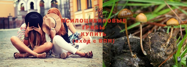 эйфоретик Арсеньев