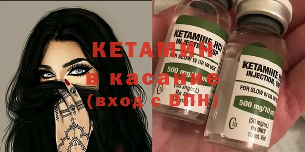 шишки Аркадак