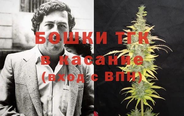 эйфоретик Арсеньев