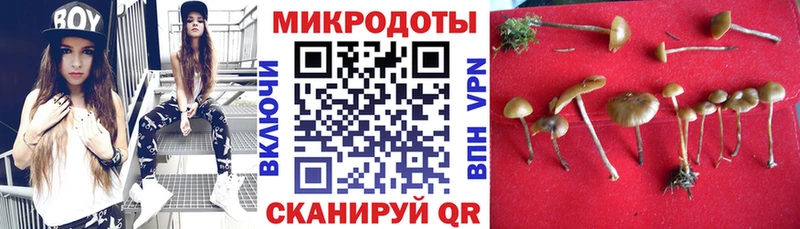 Псилоцибиновые грибы GOLDEN TEACHER  blacksprut маркетплейс  Минусинск 