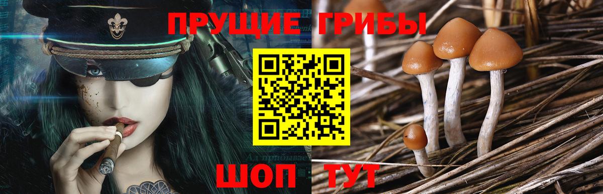 Галлюциногенные грибы мухоморы  Вход с VPN  Минусинск 